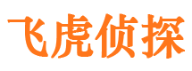 巴青外遇出轨调查取证